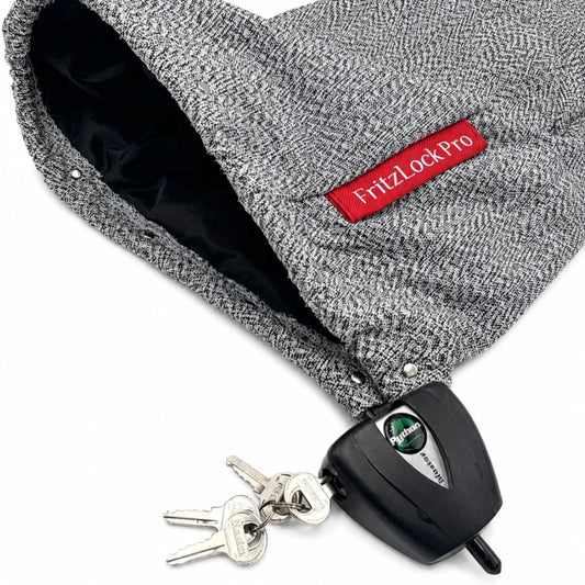 FritzLock Pro – Diebstahlschutz für Außenspiegel mit Master Lock Schlüsselschlössern – 2er-Set Spiegelschutz.de